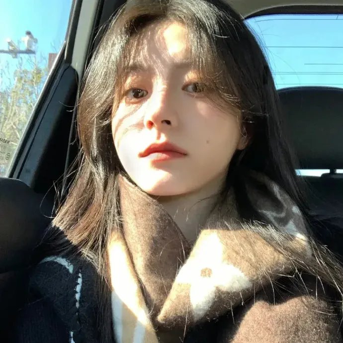 回村让我妈母凭女贵$农村里飞出金凤凰